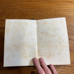 1851 Land & Lee Bosphorus Constantinople Antique Book Walton Colton