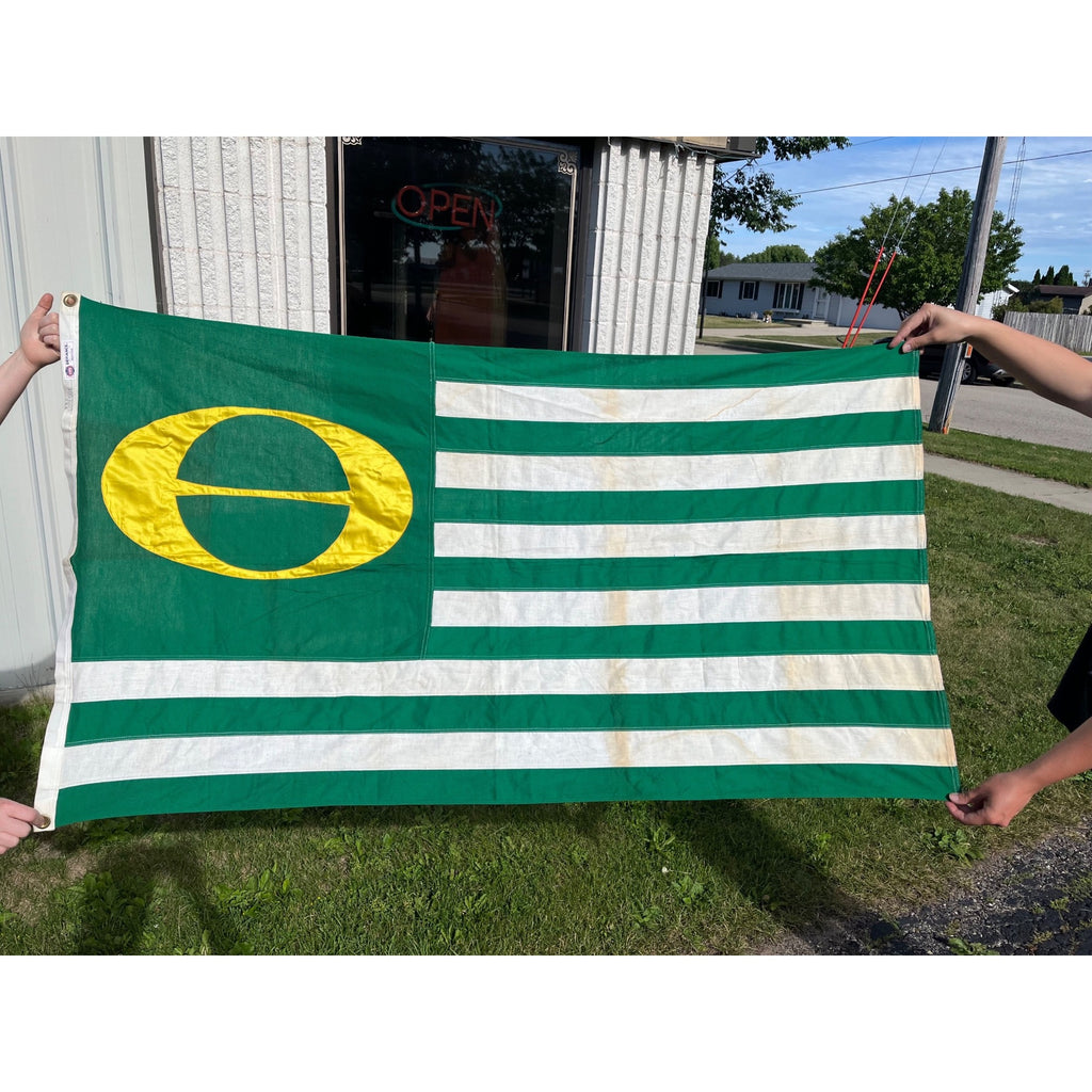 RARE Vintage Annin DEFIANCE Cotton Stitched ECOLOGY FLAG Environment GO GREEN