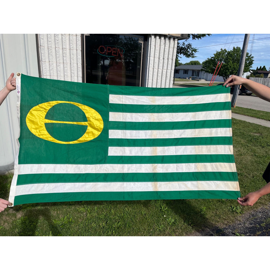 RARE Vintage Annin DEFIANCE Cotton Stitched ECOLOGY FLAG Environment GO GREEN