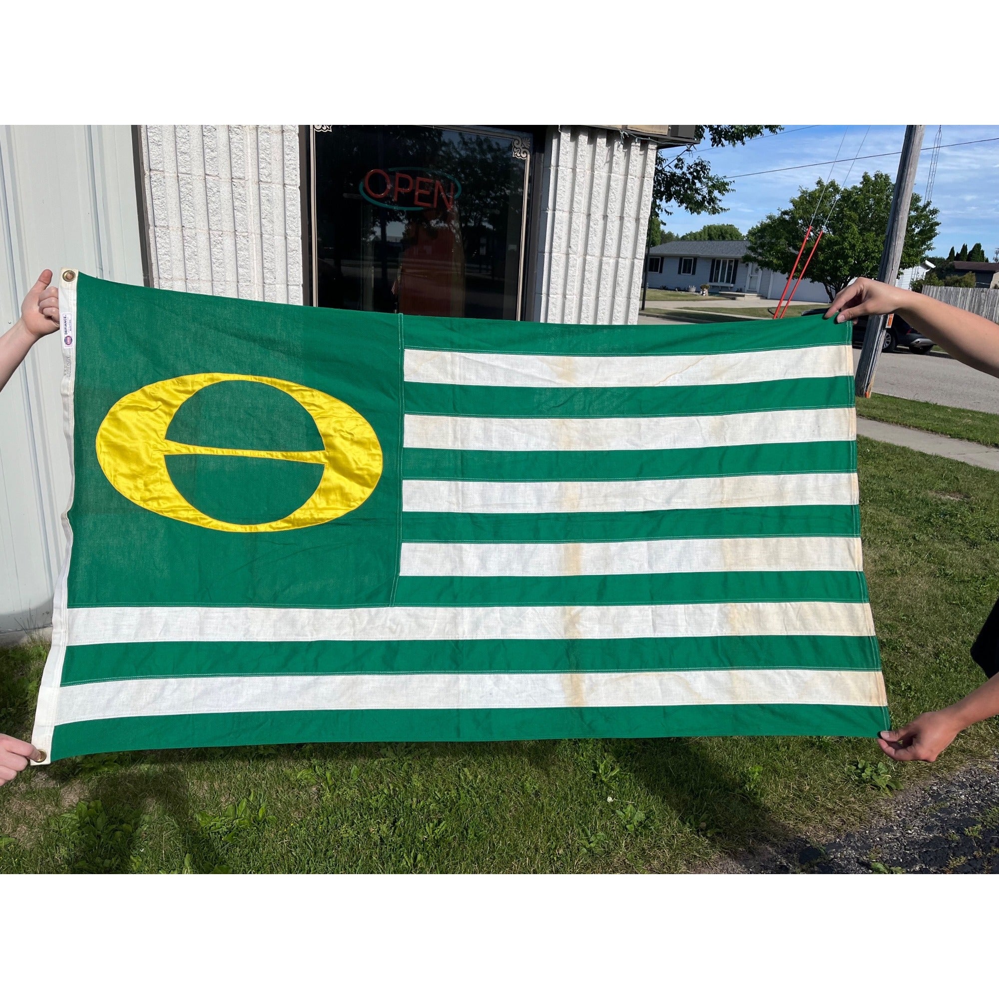 RARE Vintage Annin DEFIANCE Cotton Stitched ECOLOGY FLAG Environment GO GREEN