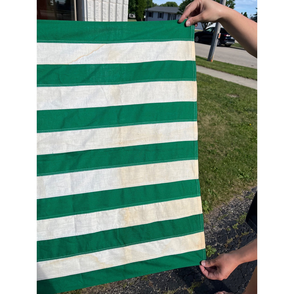 RARE Vintage Annin DEFIANCE Cotton Stitched ECOLOGY FLAG Environment GO GREEN