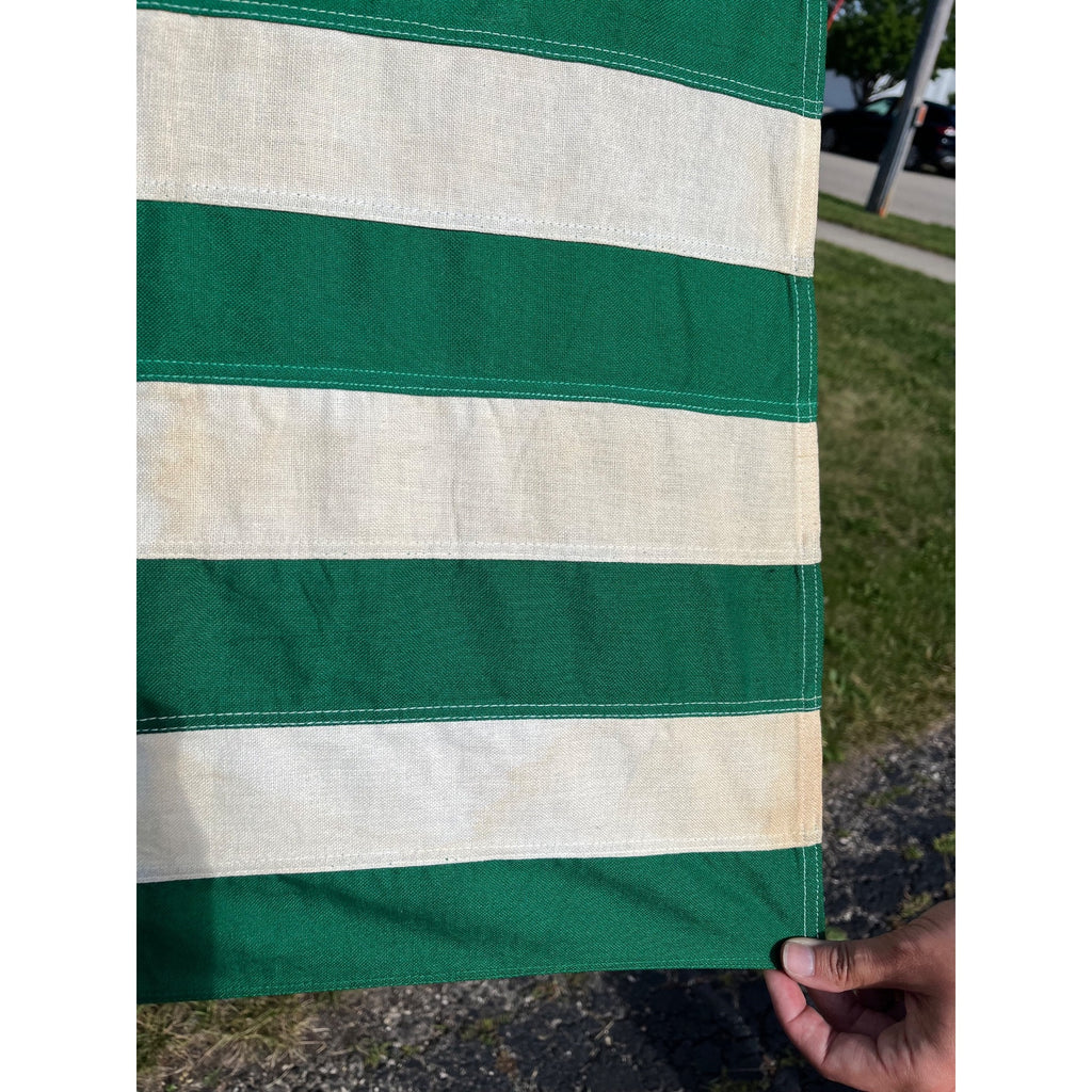 RARE Vintage Annin DEFIANCE Cotton Stitched ECOLOGY FLAG Environment GO GREEN