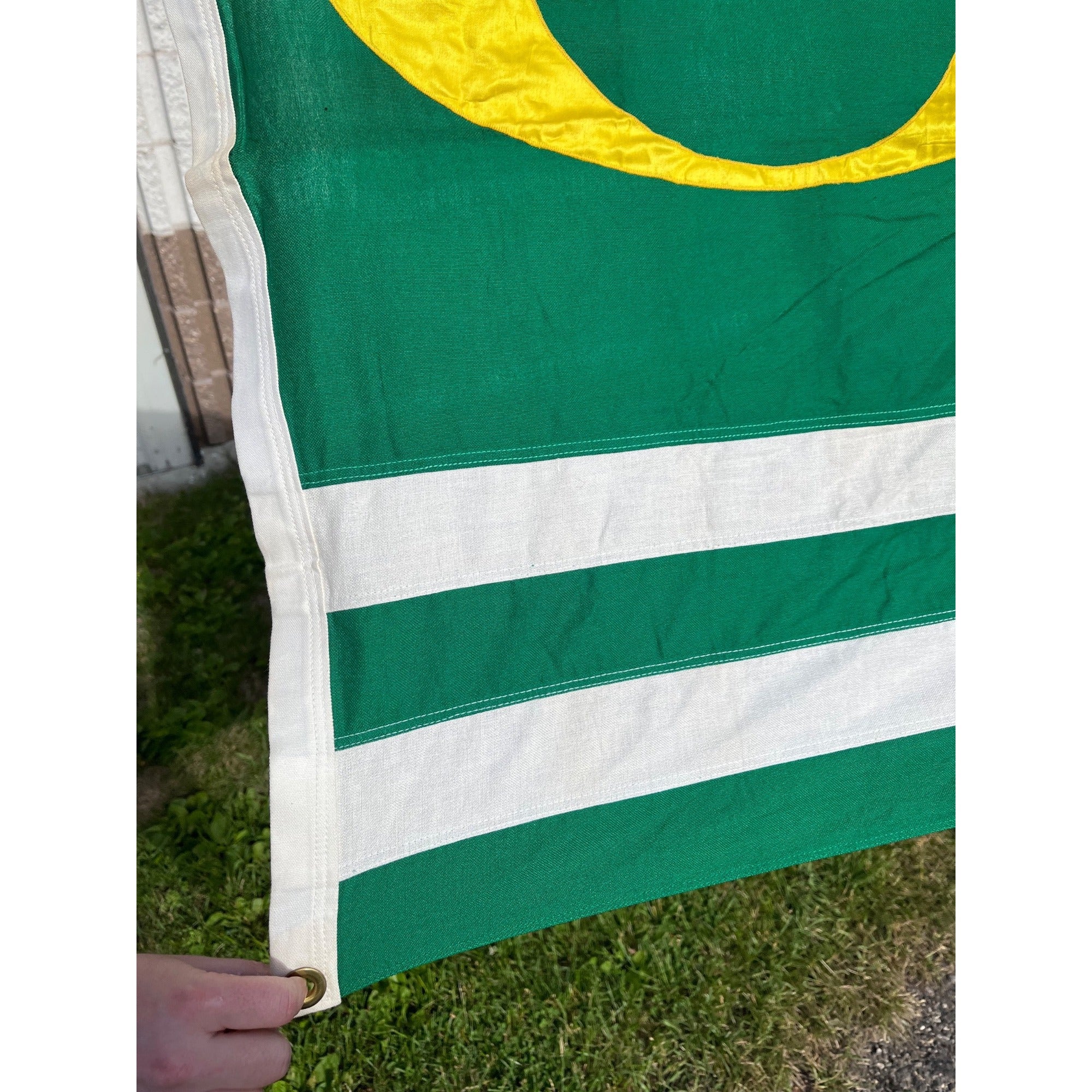 RARE Vintage Annin DEFIANCE Cotton Stitched ECOLOGY FLAG Environment GO GREEN