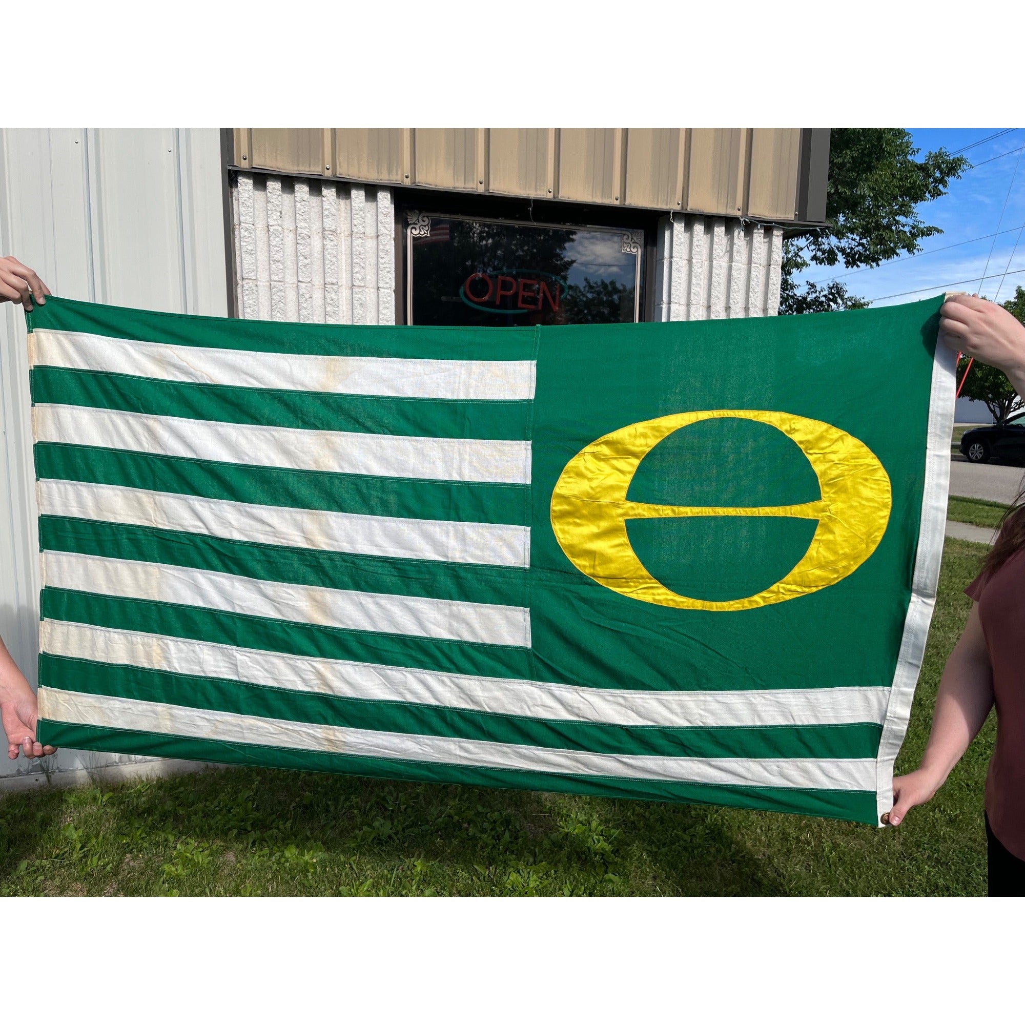 RARE Vintage Annin DEFIANCE Cotton Stitched ECOLOGY FLAG Environment GO GREEN
