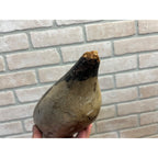 Vintage Mason Pintail Decoy Third Grade Original Paint Wooden Wood