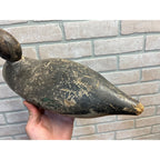 Vintage Mason Pintail Decoy Third Grade Original Paint Wooden Wood