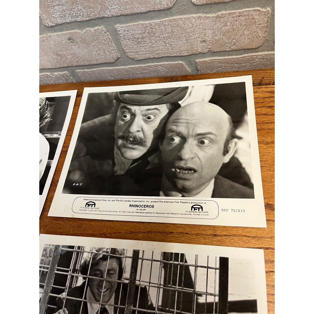 Original Rhinoceros 1974 Movie Photo Stills Gene Wilder Karen Black Zero Mostel