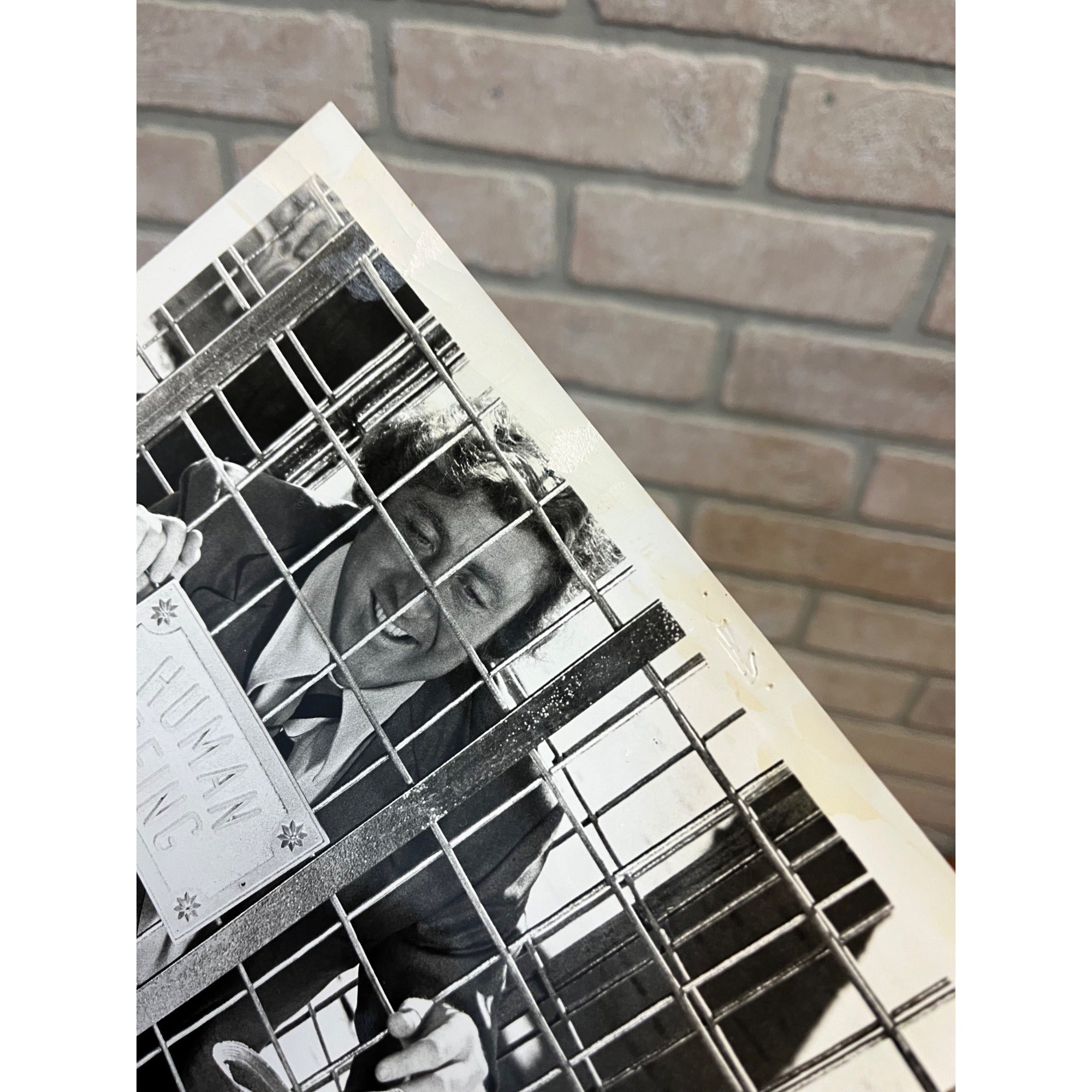 Original Rhinoceros 1974 Movie Photo Stills Gene Wilder Karen Black Zero Mostel