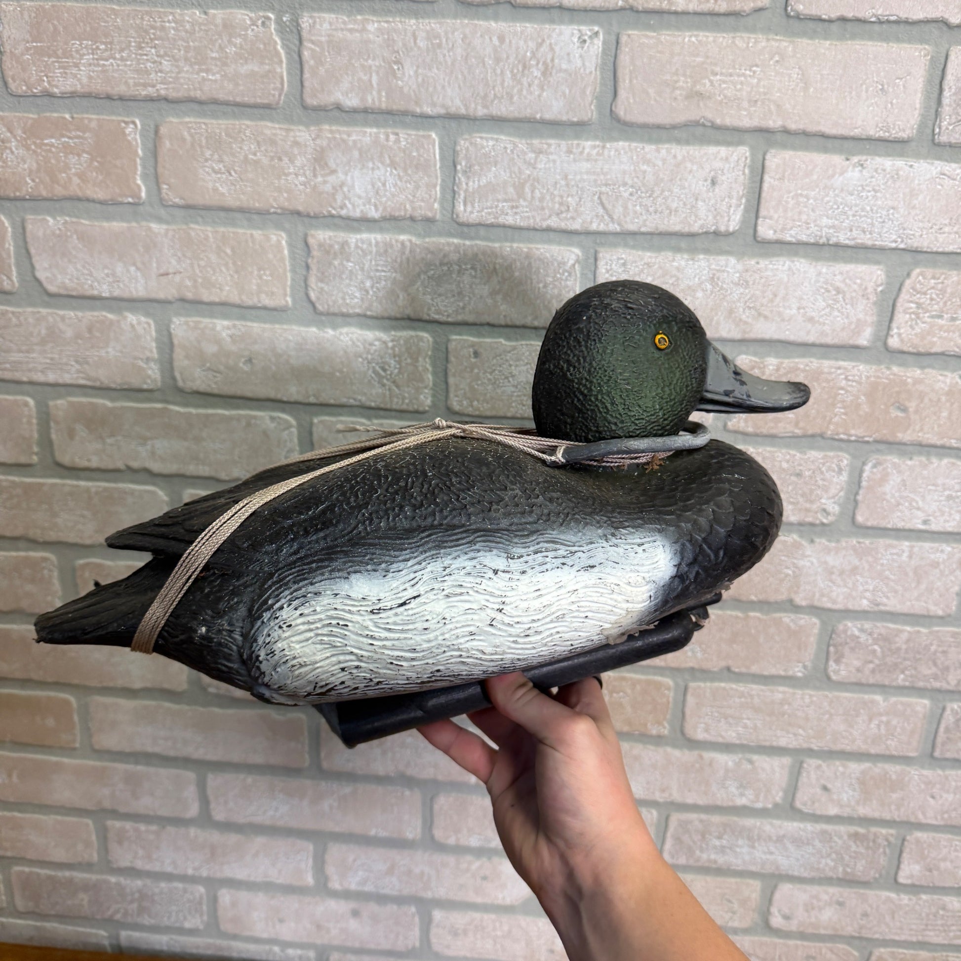 Sports Plast Plastic Bluebill Duck Decoy Made in Italy