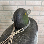 Sports Plast Plastic Bluebill Duck Decoy Made in Italy