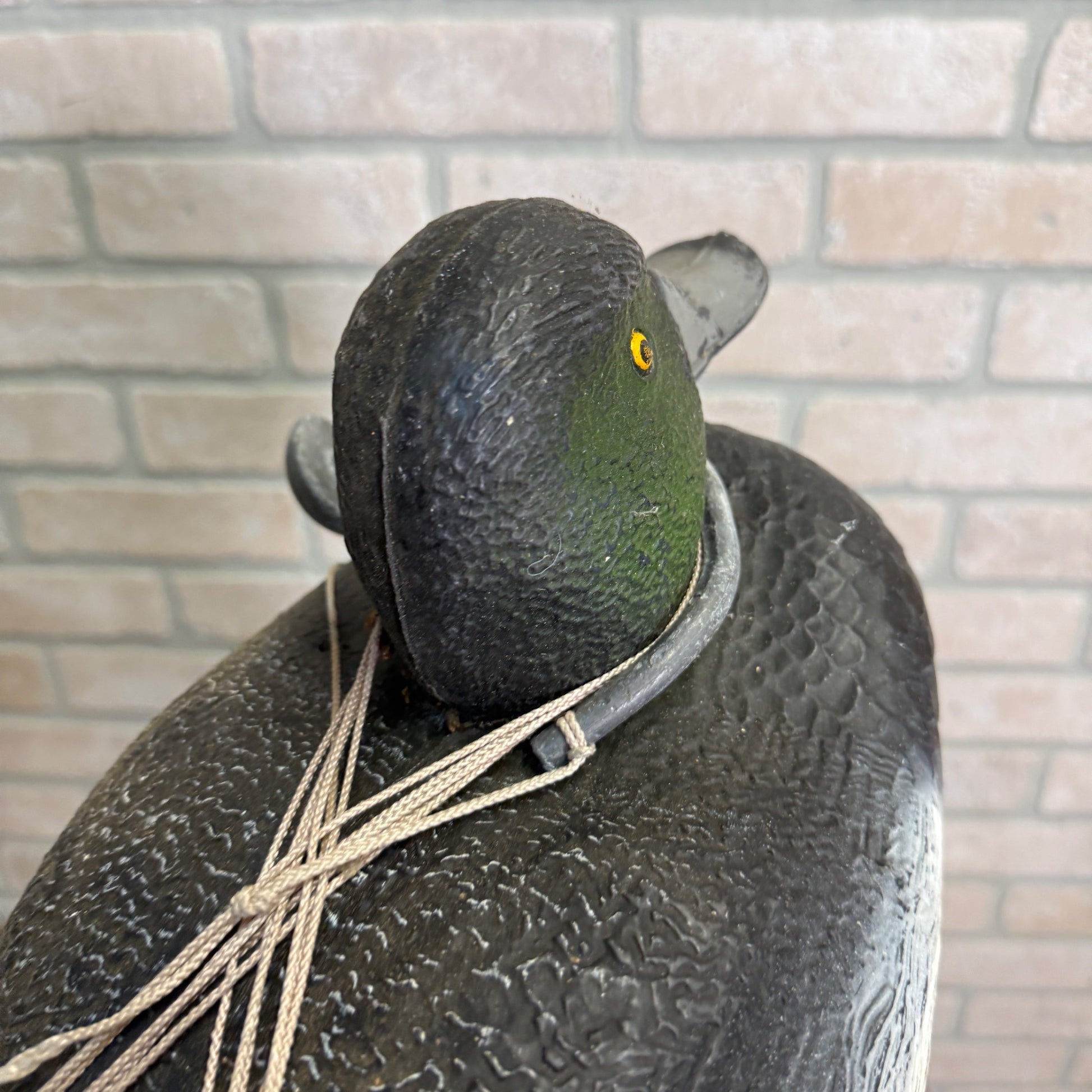 Sports Plast Plastic Bluebill Duck Decoy Made in Italy