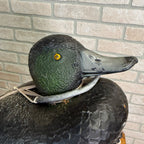 Sports Plast Plastic Bluebill Duck Decoy Made in Italy
