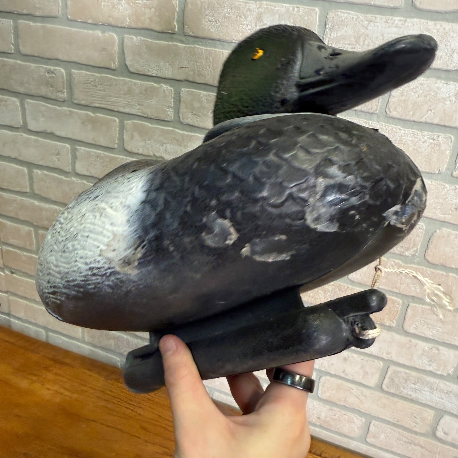 Sports Plast Plastic Bluebill Duck Decoy Made in Italy