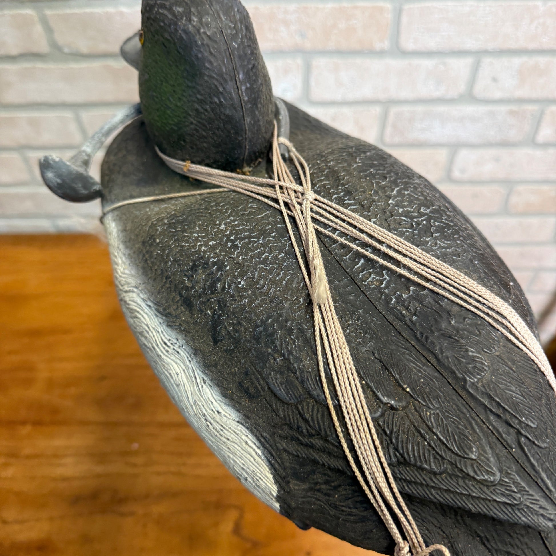 Sports Plast Plastic Bluebill Duck Decoy Made in Italy