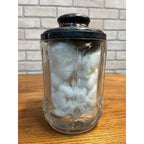 Antique Victorian 1890s Wm. Rogers Cut Glass Lidded Jar Silver Plate #764 Ornate