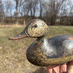 Antique 1880s Dodge Teal Duck Decoy Original Paint Early Hunting Tack Eye