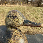 Antique 1880s Dodge Teal Duck Decoy Original Paint Early Hunting Tack Eye