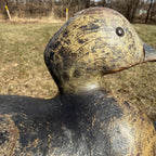 Antique 1880s Dodge Teal Duck Decoy Original Paint Early Hunting Tack Eye