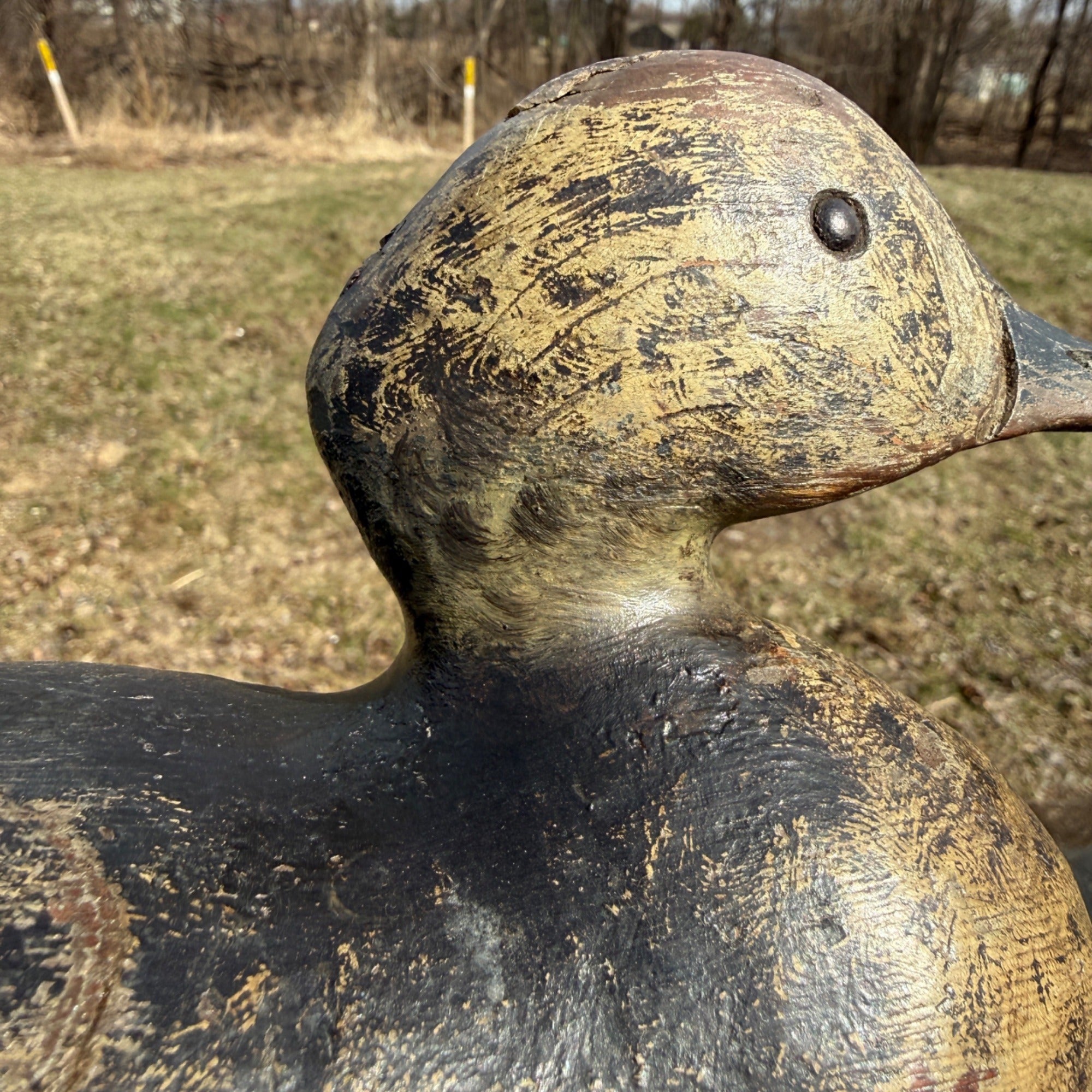 Antique 1880s Dodge Teal Duck Decoy Original Paint Early Hunting Tack Eye