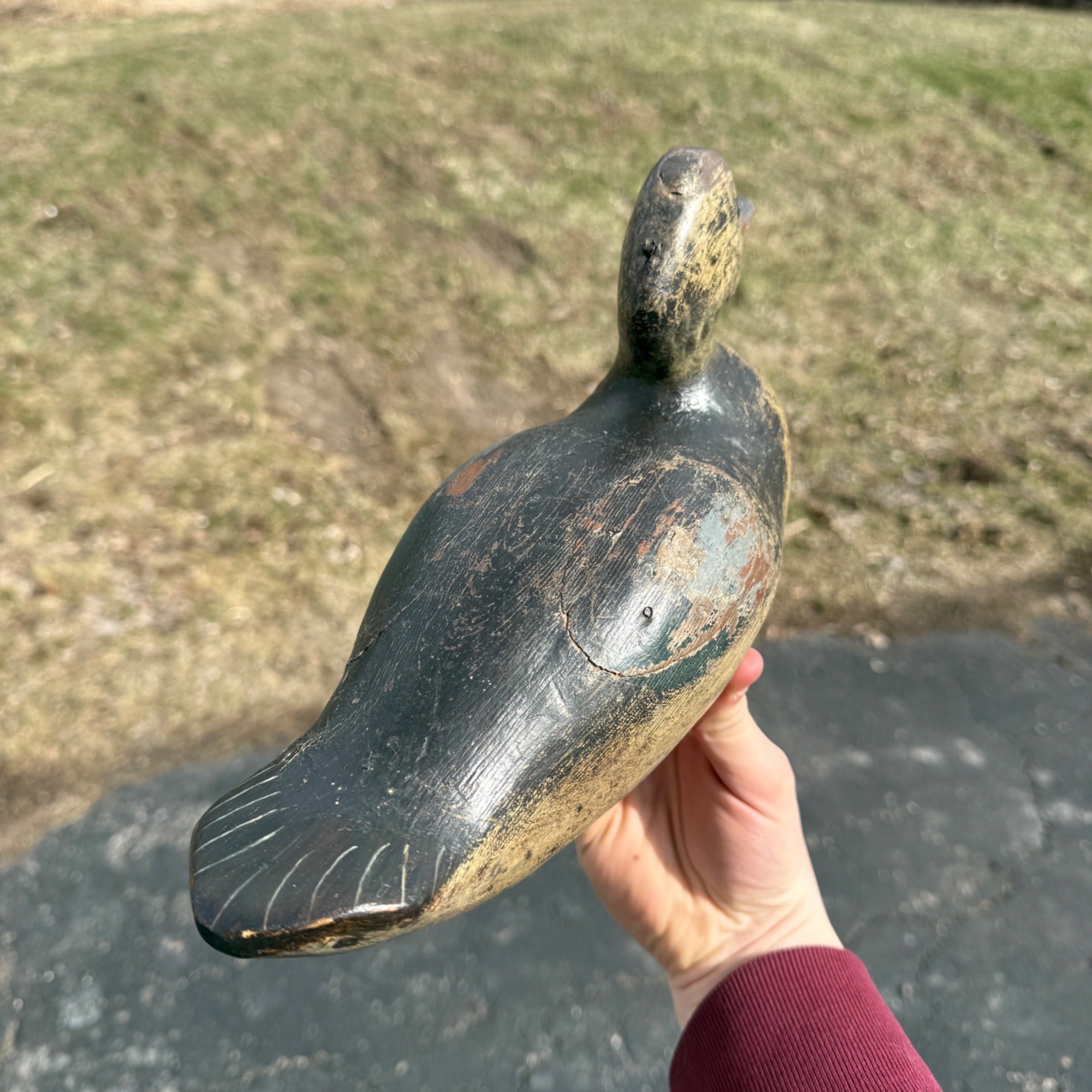 Antique 1880s Dodge Teal Duck Decoy Original Paint Early Hunting Tack Eye