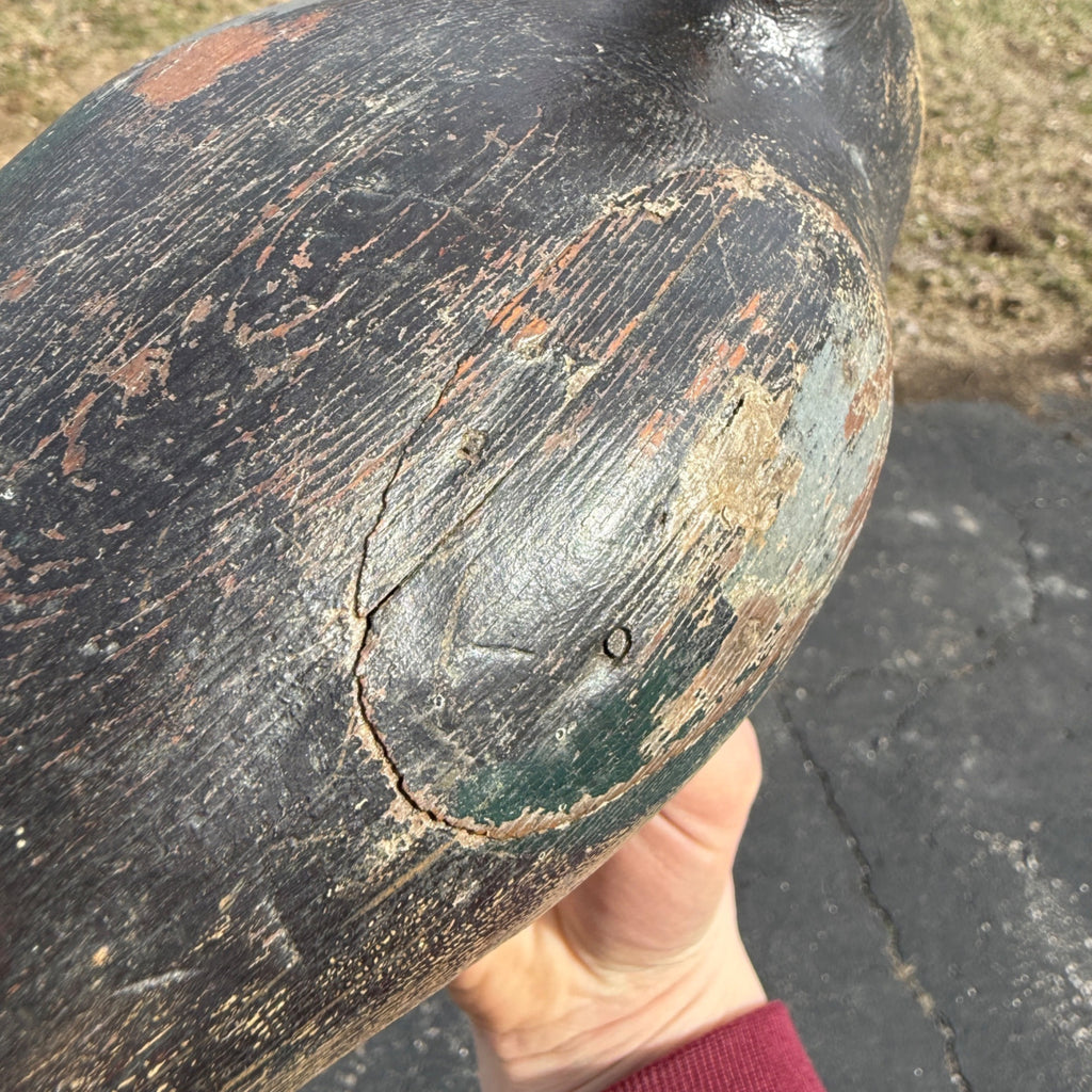 Antique 1880s Dodge Teal Duck Decoy Original Paint Early Hunting Tack Eye