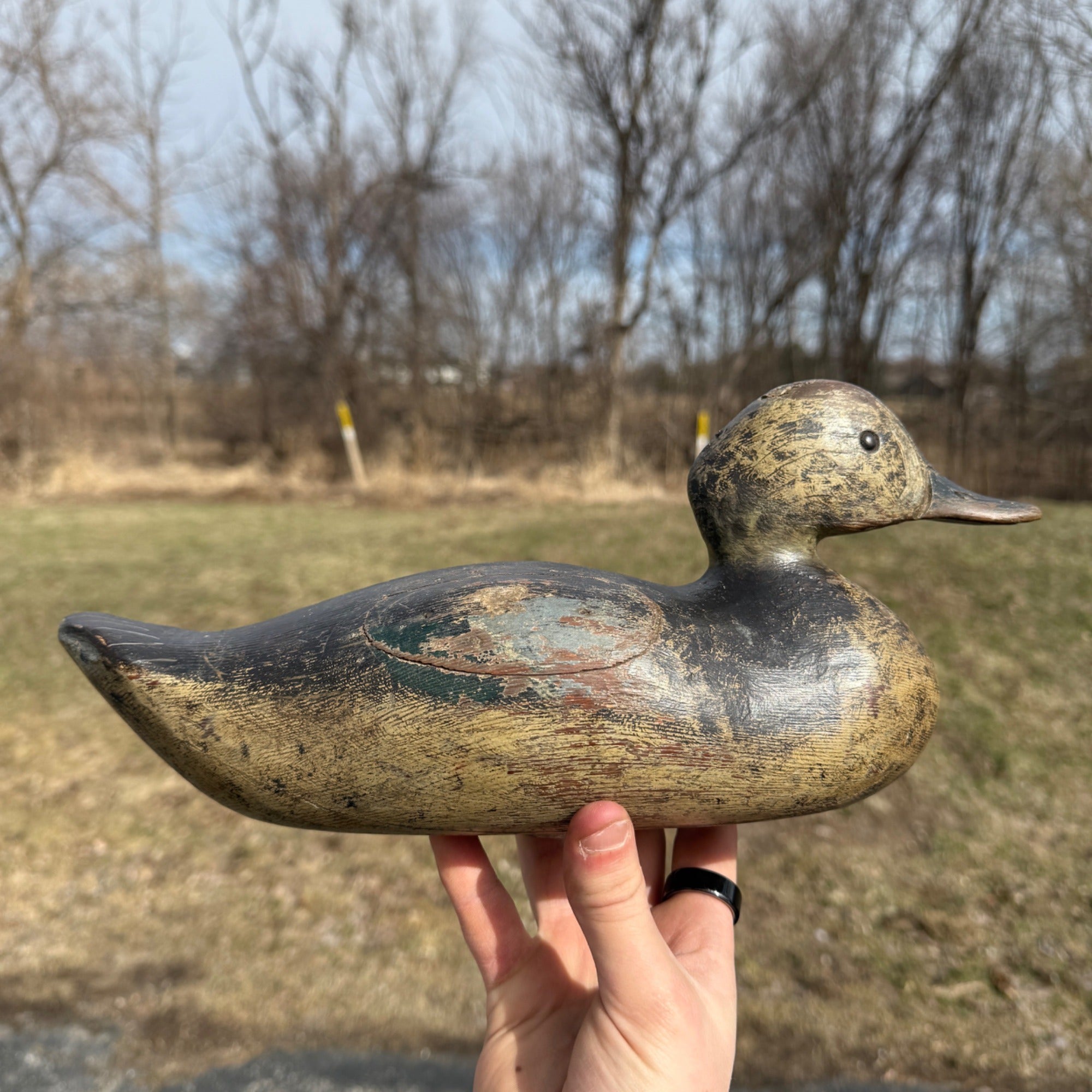 Antique 1880s Dodge Teal Duck Decoy Original Paint Early Hunting Tack Eye