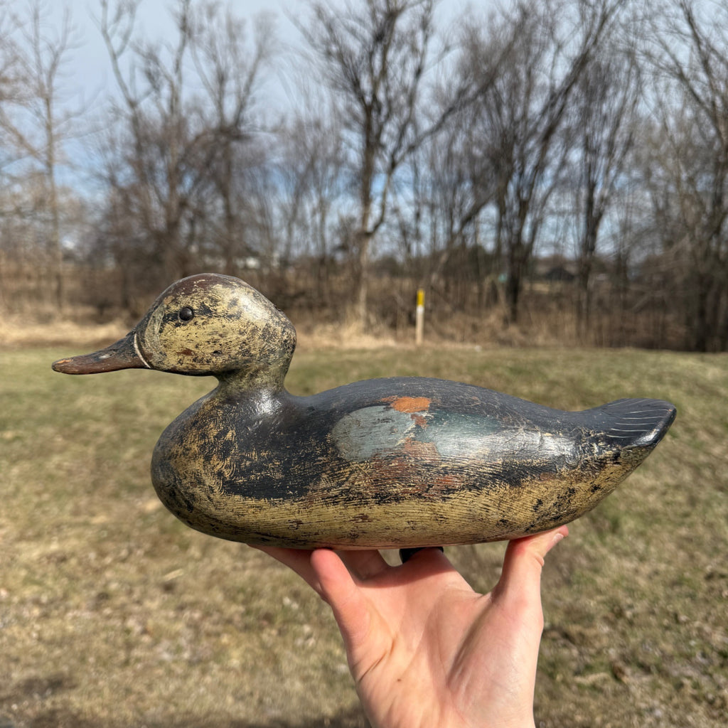 Antique 1880s Dodge Teal Duck Decoy Original Paint Early Hunting Tack Eye