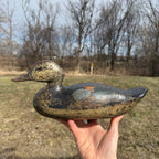 Antique 1880s Dodge Teal Duck Decoy Original Paint Early Hunting Tack Eye