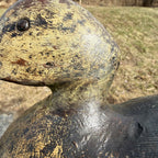 Antique 1880s Dodge Teal Duck Decoy Original Paint Early Hunting Tack Eye