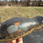 Antique 1880s Dodge Teal Duck Decoy Original Paint Early Hunting Tack Eye