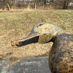 Antique 1880s Dodge Teal Duck Decoy Original Paint Early Hunting Tack Eye