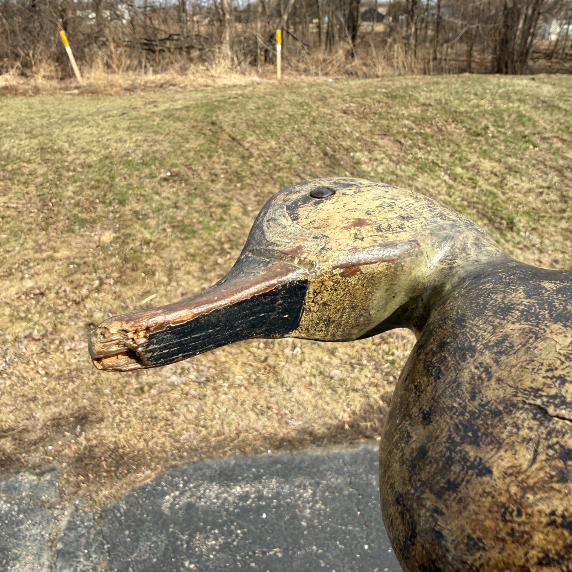 Antique 1880s Dodge Teal Duck Decoy Original Paint Early Hunting Tack Eye