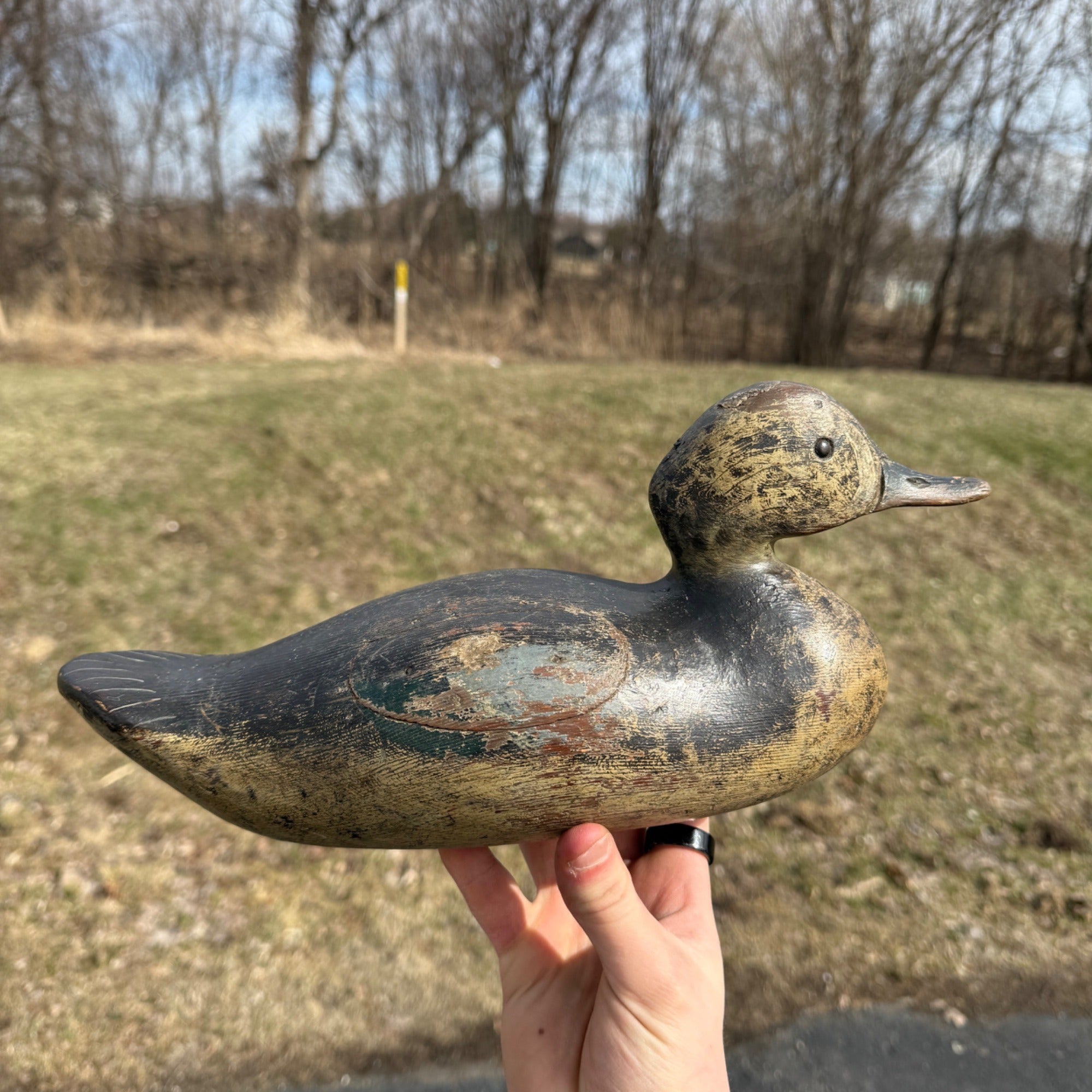 Antique 1880s Dodge Teal Duck Decoy Original Paint Early Hunting Tack Eye