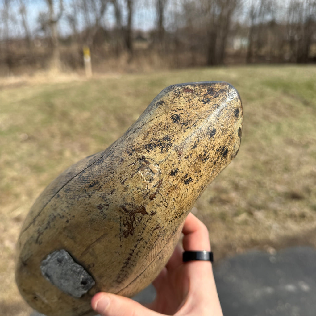 Antique 1880s Dodge Teal Duck Decoy Original Paint Early Hunting Tack Eye