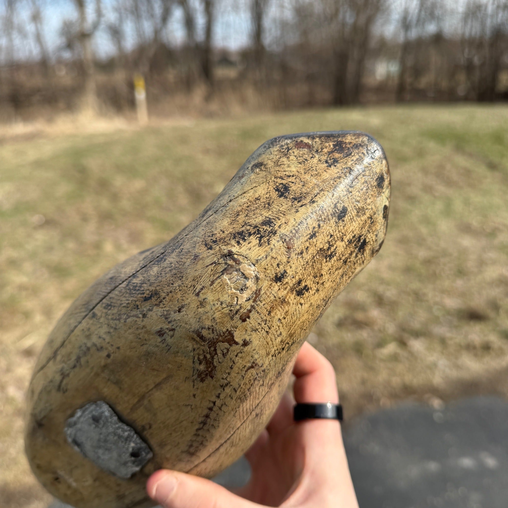 Antique 1880s Dodge Teal Duck Decoy Original Paint Early Hunting Tack Eye