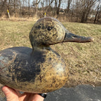 Antique 1880s Dodge Teal Duck Decoy Original Paint Early Hunting Tack Eye
