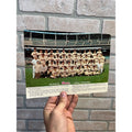 1957 Milwaukee Braves Team Photo, Color Jumbo Postcard Rare Hank Aaron Champions