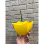 Vintage Gordon's Gin Barware Umbrella Caddy Straw / Cocktail Mix Swizzle Holder