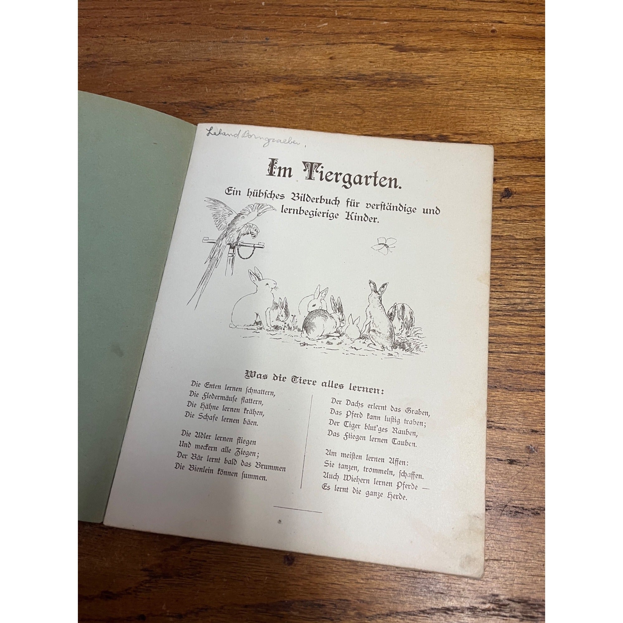 Antique German Childrens Book Im Tiergarten August Specht Zoo Animals c1900