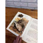Antique German Childrens Book Im Tiergarten August Specht Zoo Animals c1900