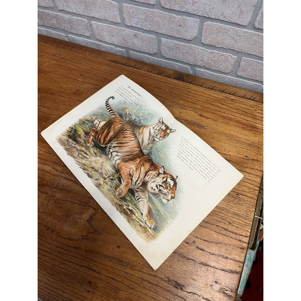 Antique German Childrens Book Im Tiergarten August Specht Zoo Animals c1900