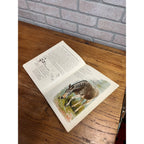 Antique German Childrens Book Im Tiergarten August Specht Zoo Animals c1900
