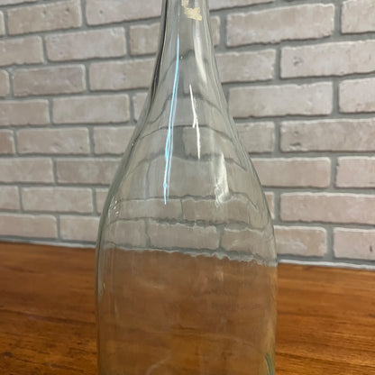 Vintage Roxo Waukesha Wisconsin Mineral Water Soda Half Gallon Bottle WI