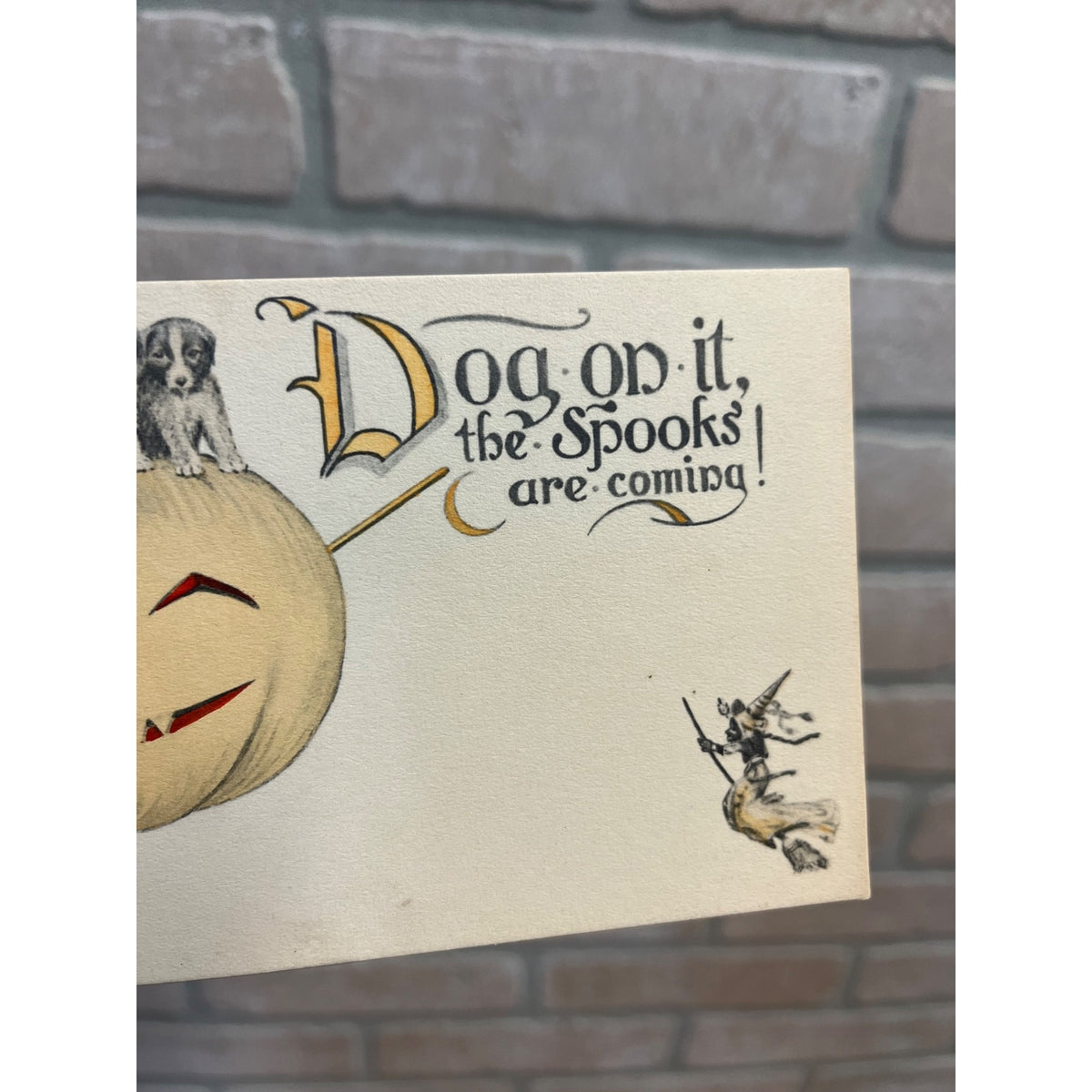 RARE Vintage Halloween Postcard Dogs On it Spook Puppies Signed Clen Dening
