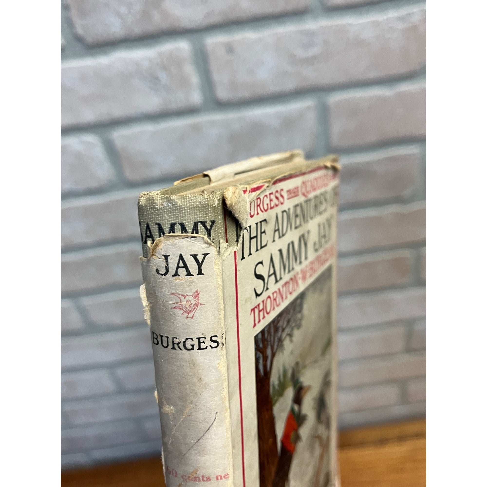 Vintage 1920s Thornton W. Burgess Lot (5) Childrens Stories Books HC