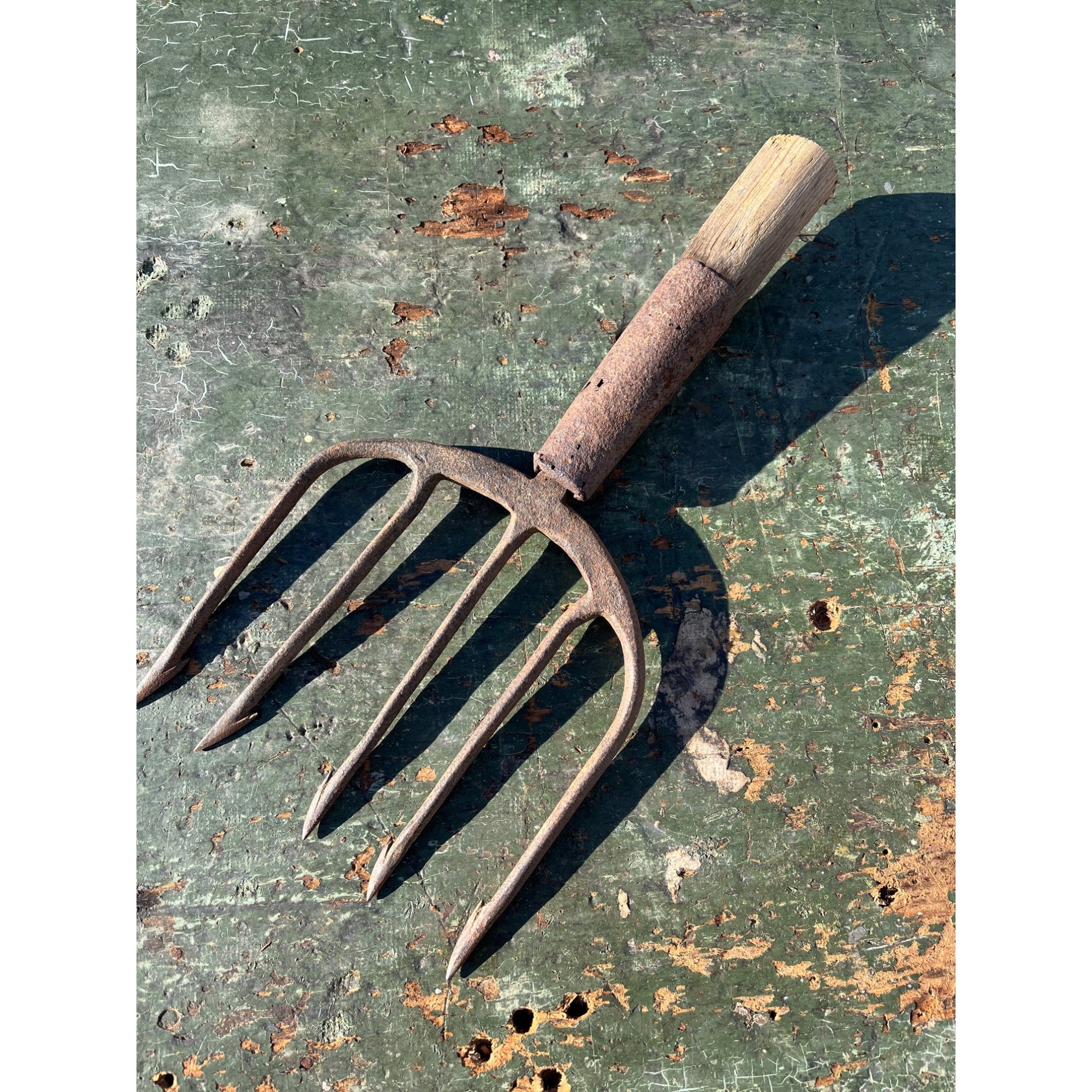 Vintage Hunting Fishing Spear 5-Point Tine Headed Tool