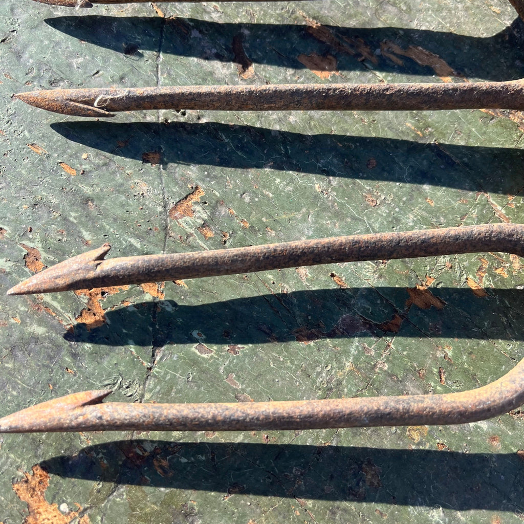 Vintage Hunting Fishing Spear 5-Point Tine Headed Tool