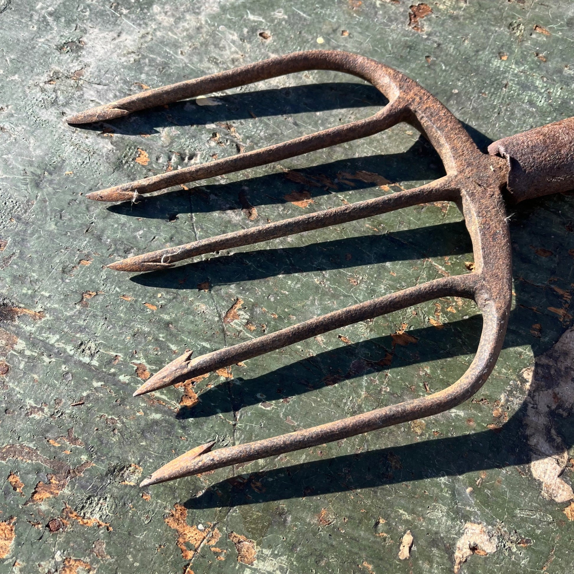 Vintage Hunting Fishing Spear 5-Point Tine Headed Tool