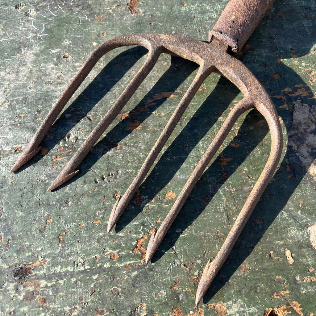 Vintage Hunting Fishing Spear 5-Point Tine Headed Tool