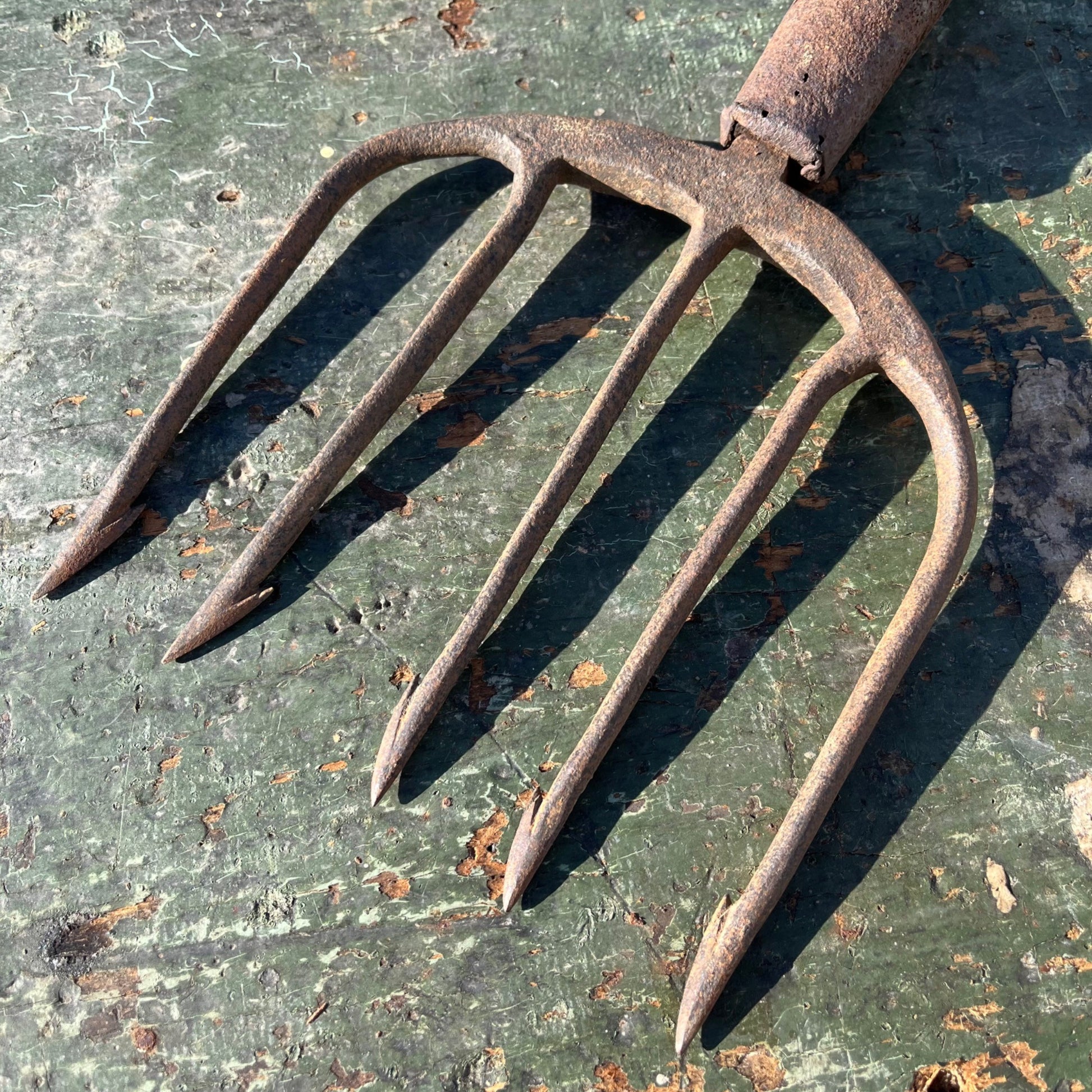 Vintage Hunting Fishing Spear 5-Point Tine Headed Tool